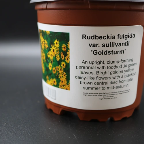 Conical Container Labeller