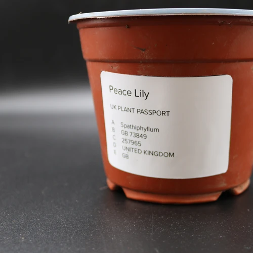 Tapered Plant Pot Adhesive Label