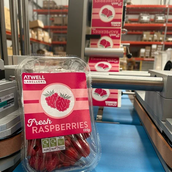 Top and Bottom Product Labels